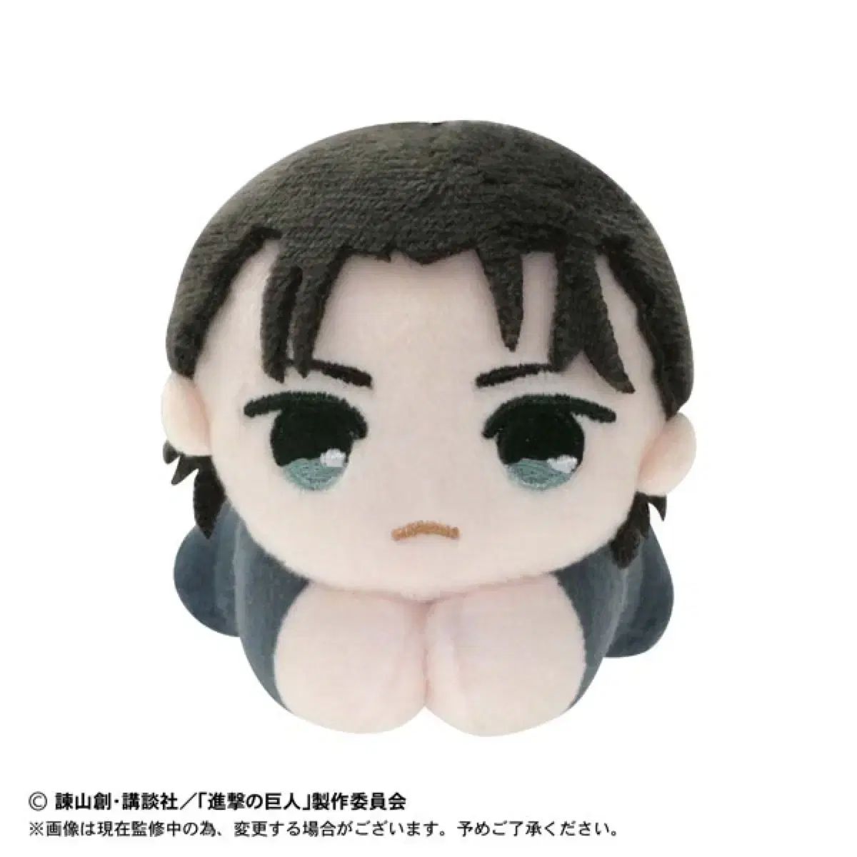 進撃の巨人 進撃の エレン はぐキャラ ぬい ぬいぐるみ 進撃の巨人