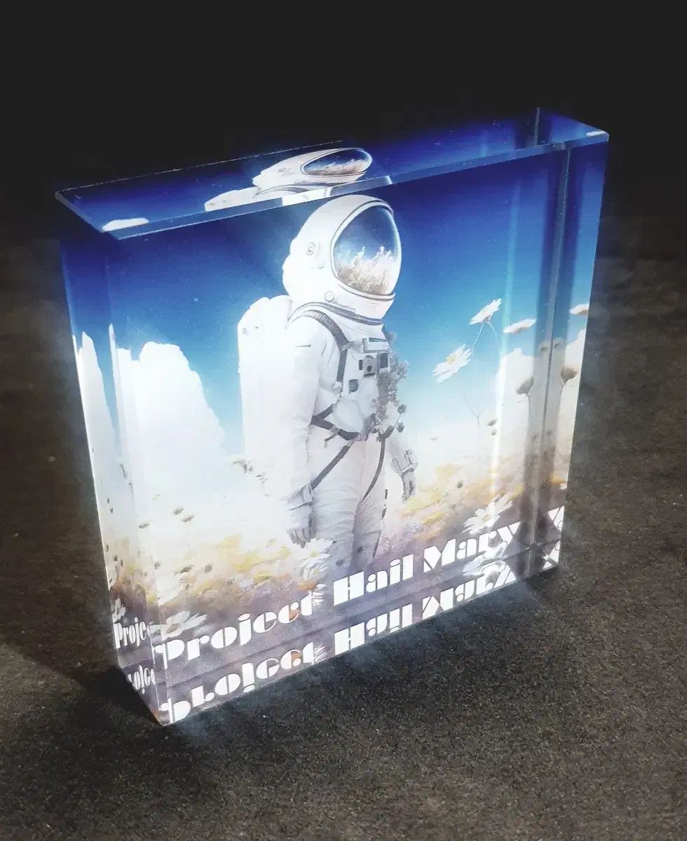 プロジェクト ヘイルメリー モデル 書籍 文鎮