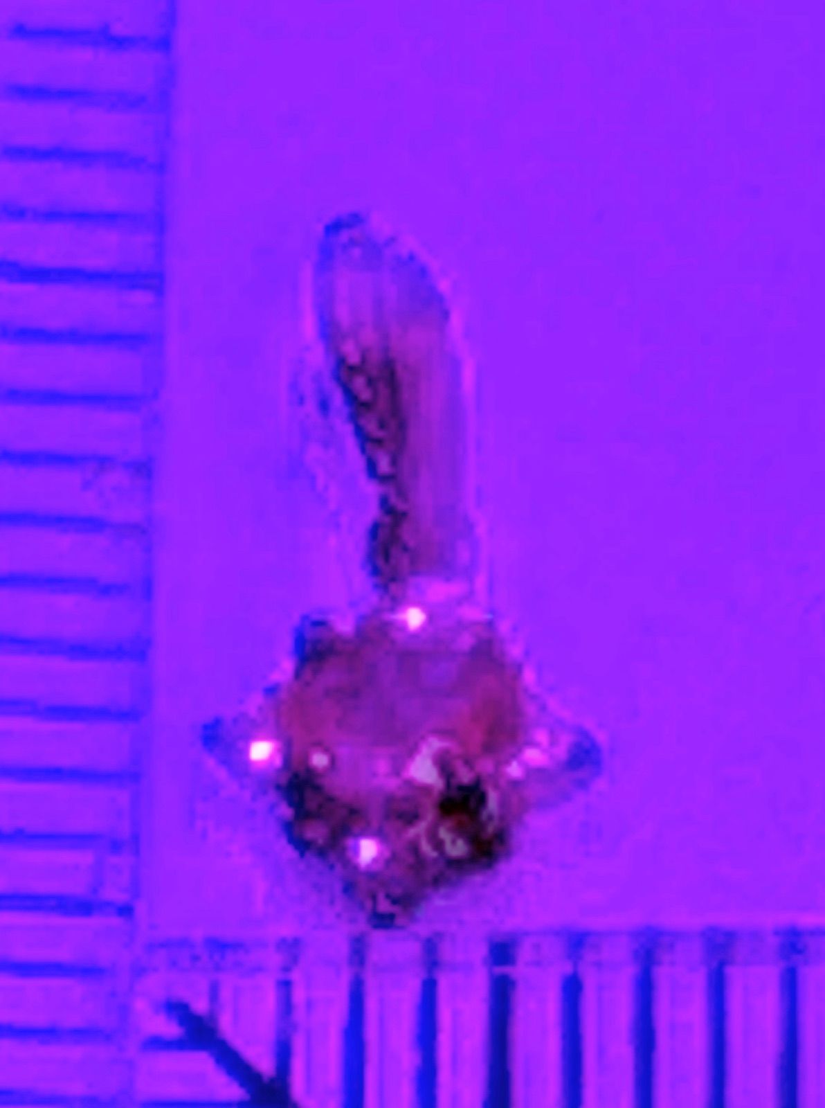 2026年最新アウイナイト k18アウィンナイトペンダントNO25-2470