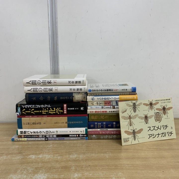 ウ*メ様 曲げわっぱ 柴田慶信商店 玉の湯弁当箱 秋田 大館 白木 天然杉