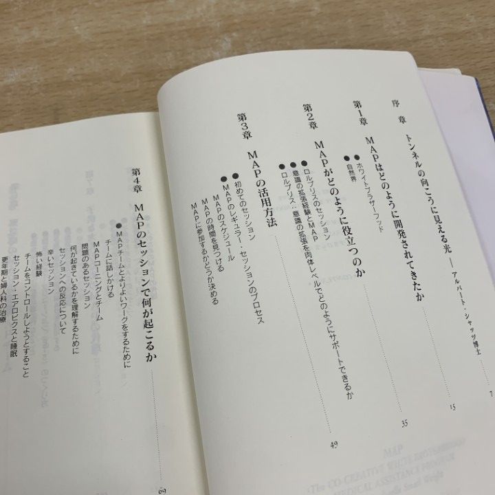 ○01)【1点限り!】MAP 聖なる癒し/高次元存在/共同創造/21世紀
