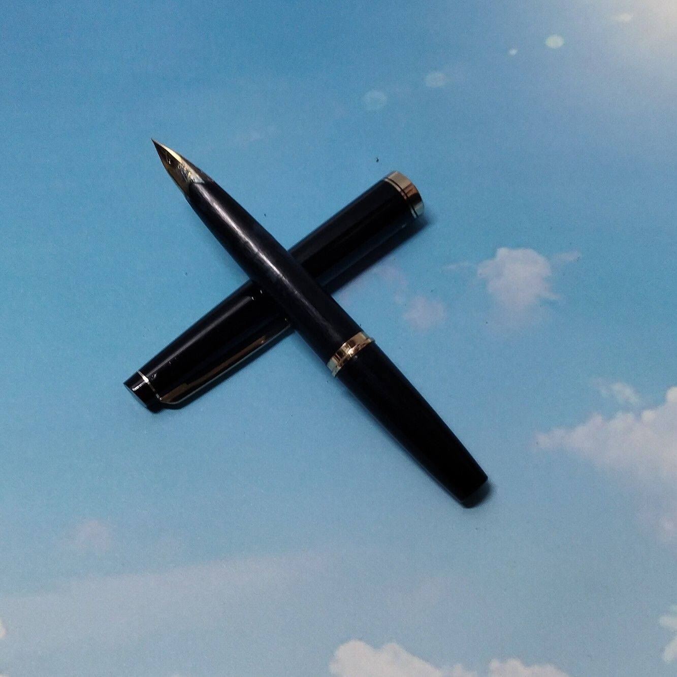 PILOT ELITE パイロット エリート万年筆 14K 585 F（細字） - メルカリ