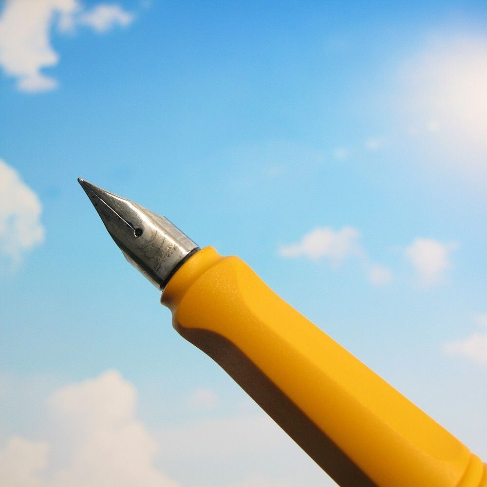 【限定】2020 LAMY SAFARI ラミー サファリ万年筆 F（細字）箱付き