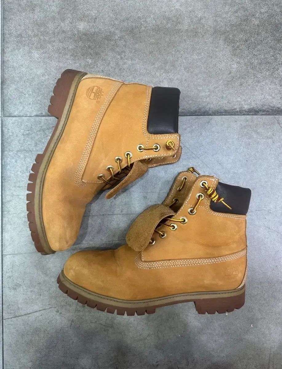 8 5 ティンバーランド 6インチ ブーツ 10061