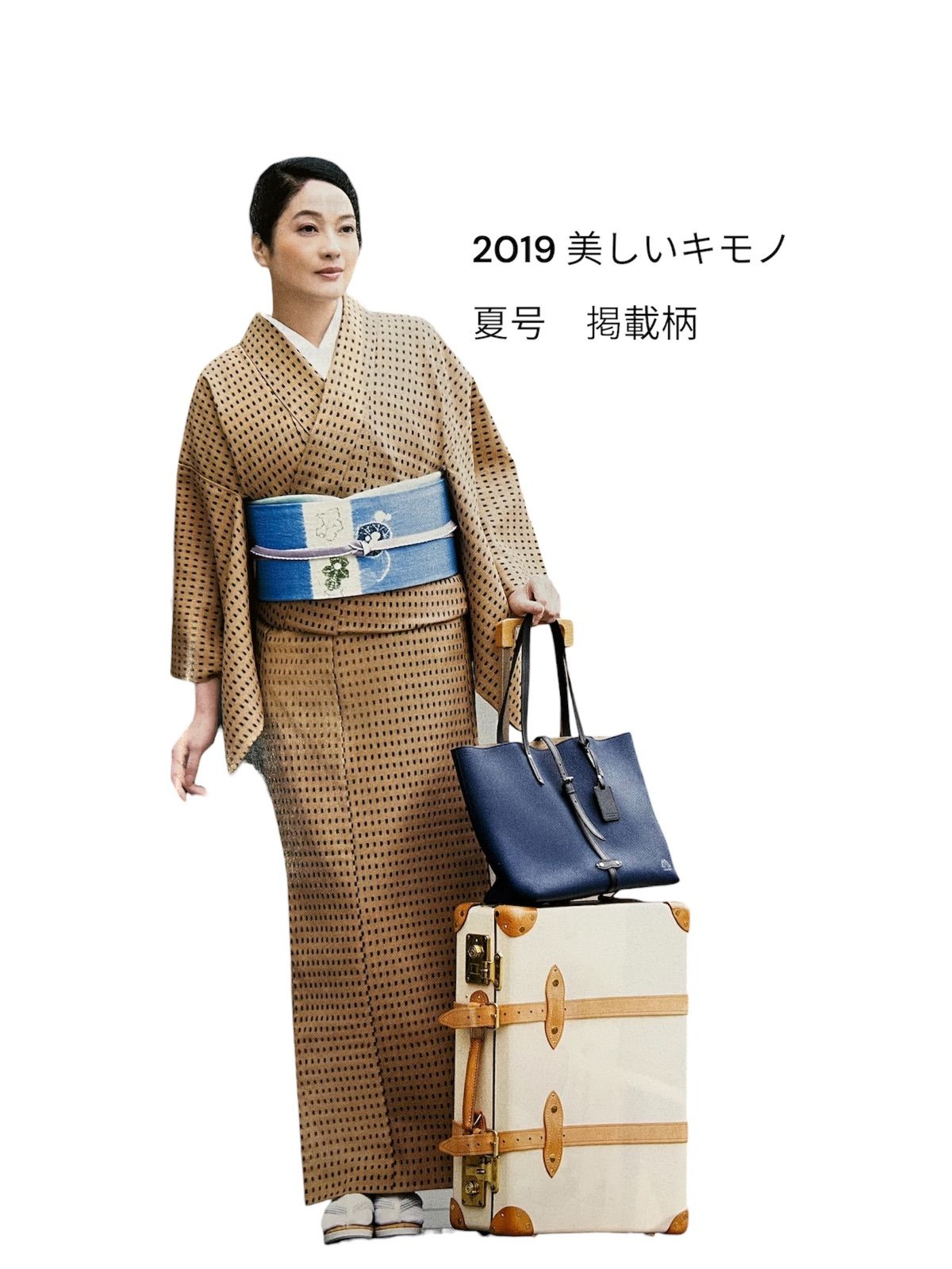 本塩沢お召 四角絣 豆腐絣 中田屋織物 0245