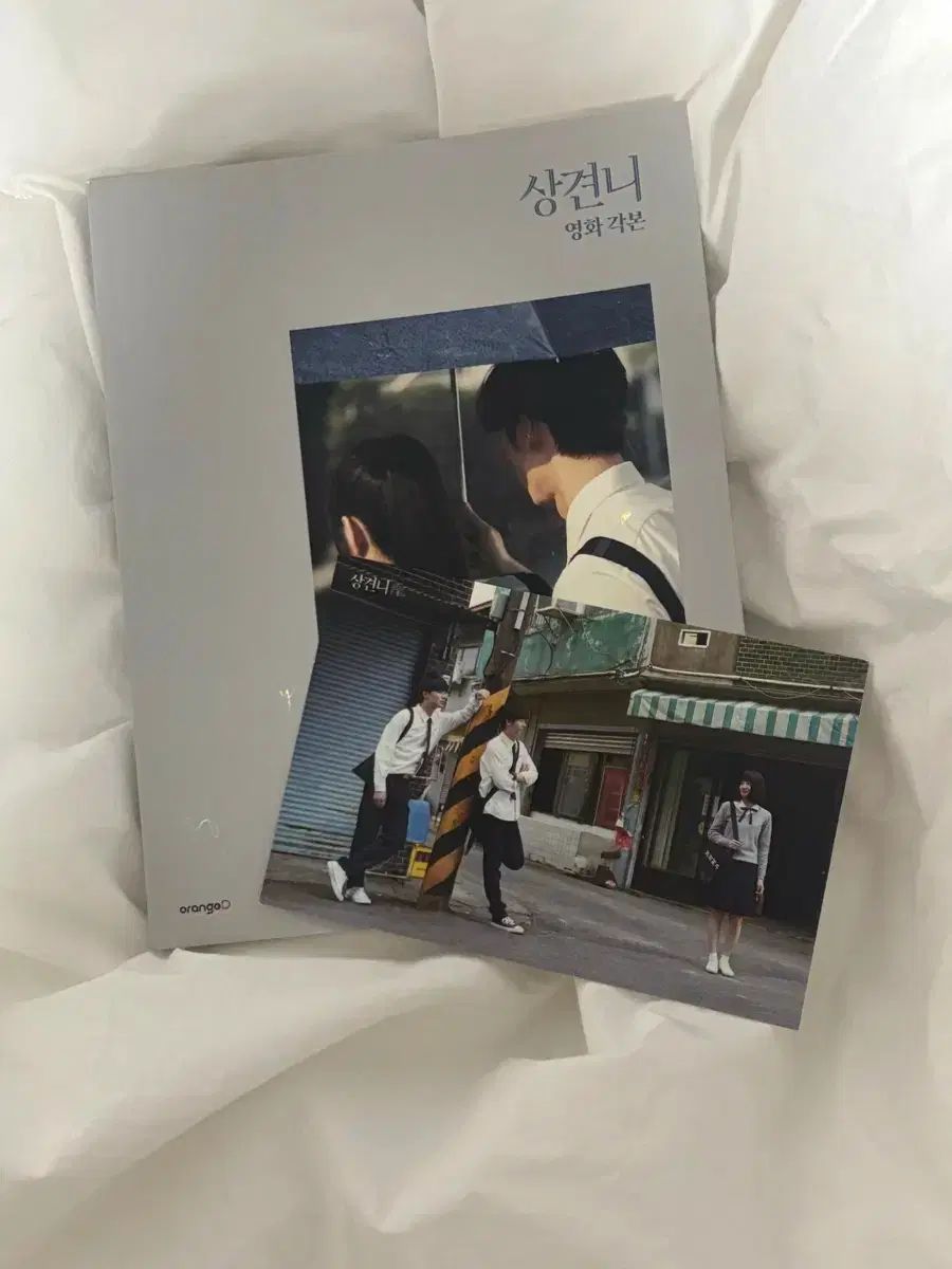 Someday or One Day(想見你) 映画脚本