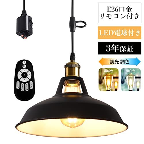 LVWIT ペンダントライト ダクトレール式 E 26口金 直径27 CM 北欧風 LED電球付き 調光調色 エジソン電球 消費電力6 W 遠隔操作 コード付き 60 cm調節 吊り下げ インテリア 天井照明 雰囲気 昼光色 昼白色 電球 561 c 9 b 1