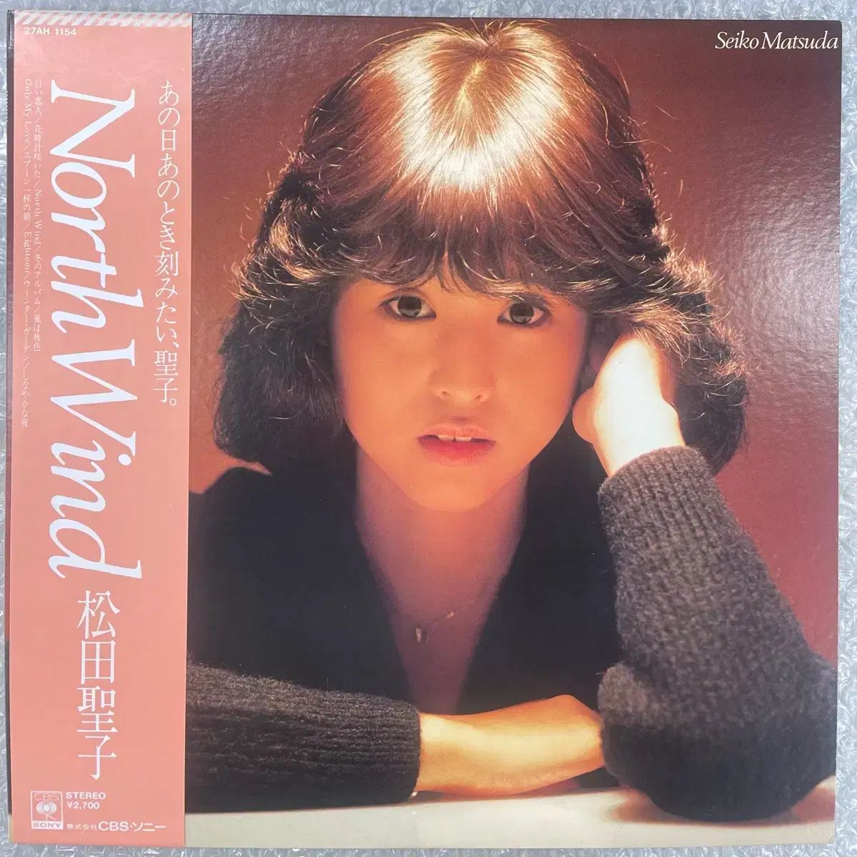 本日限定価格！ハーレーダビッドソン純正 デタッチャブルシールド