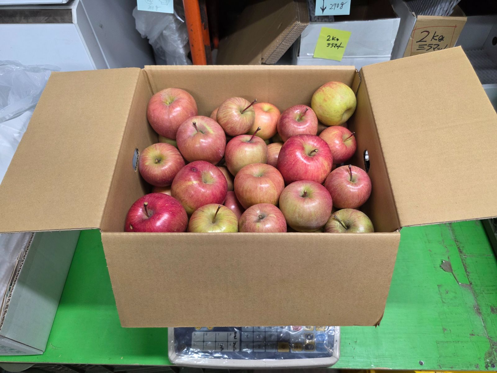 サンふじ 訳あり 20kg