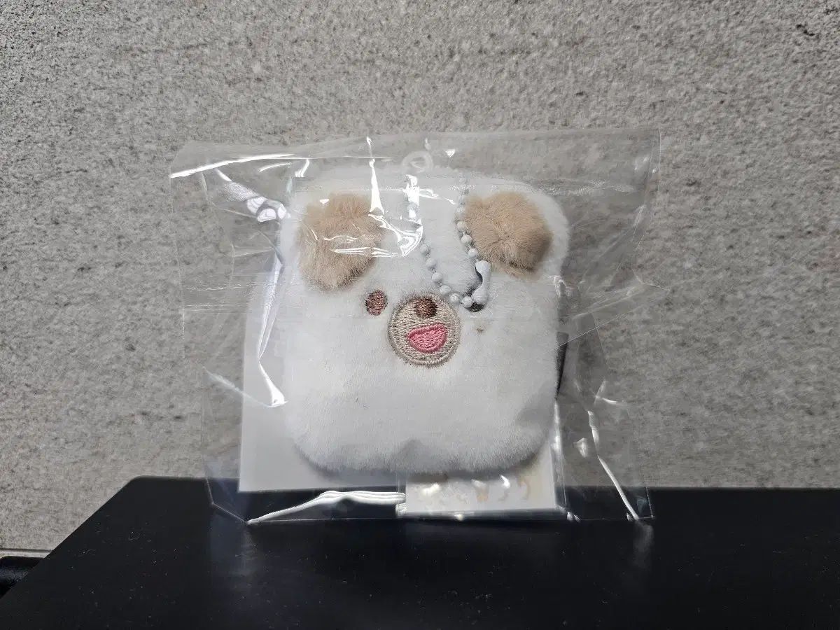 明治期後期の欧米お里帰り品アンティークの眠り猫里親募集中 古玩 戦前