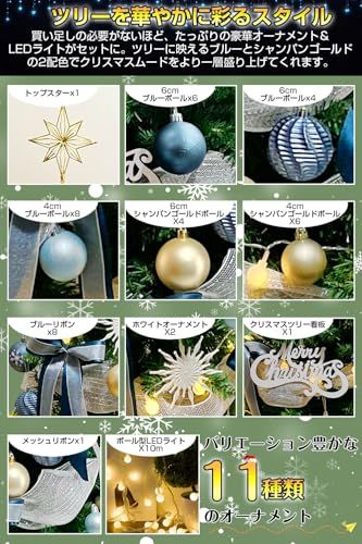 日本語取扱説明書付