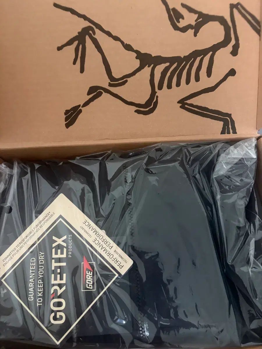 25 FW ARC TERYX アークテリクス ベータ SL ブラック M