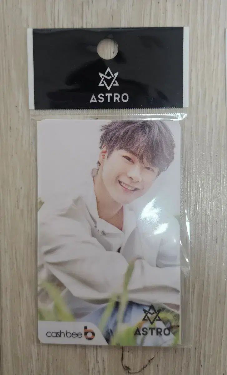 ASTRO アストロ ムンビン MOON BIN 交通カード cashbeeカード