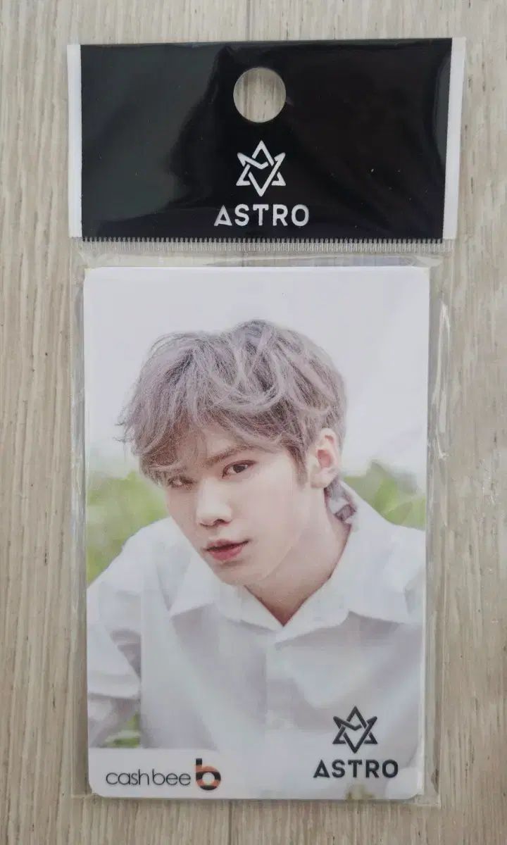 新品 ASTRO（アストロ） ラキ(ROCKY) 交通カード cashbeeカード - メルカリ