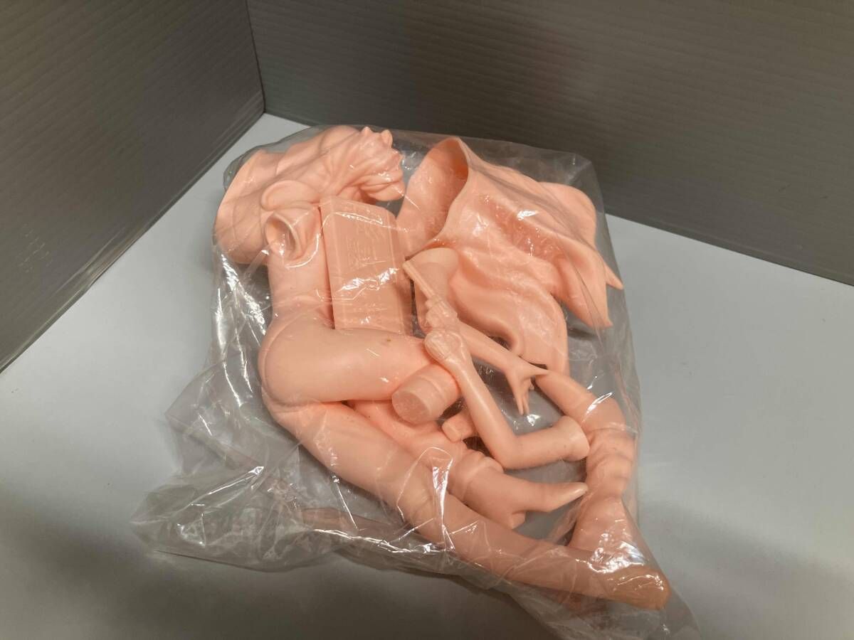 ドリームハンター麗夢 海洋堂 ソフトビニールモデルキット1/6 - メルカリ