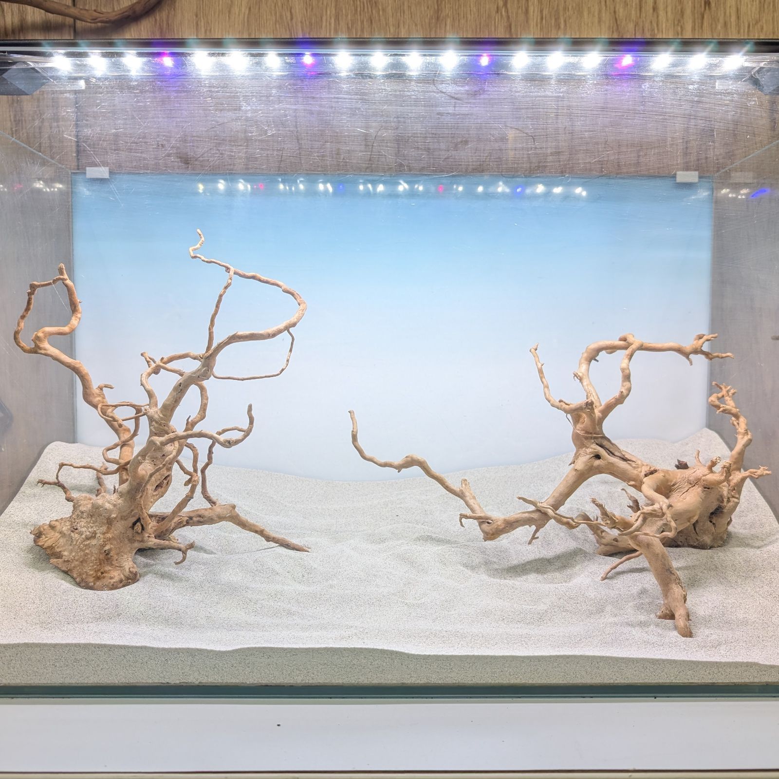 ブランチウッド✻未処理｜32cm/27cm｜BW38817｜2点｜自然流木