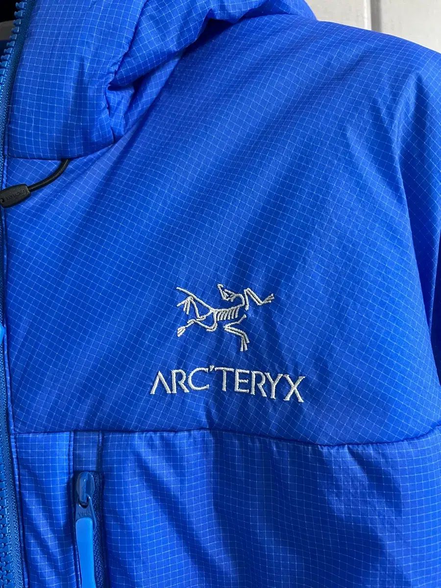 アークテリクス ヌク イSV バイタリティー M