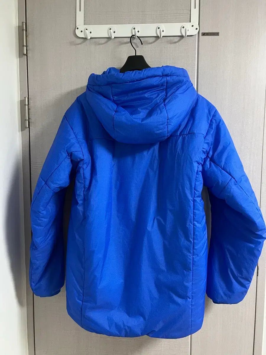 アークテリクス ヌク イSV バイタリティー M