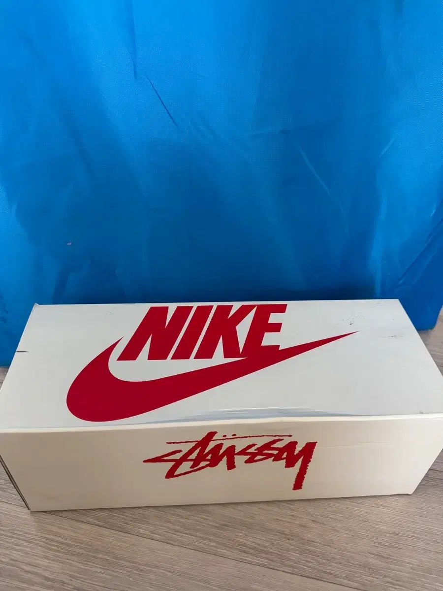 NIKE ステューシー スライド サイズ270 cw 2787 100