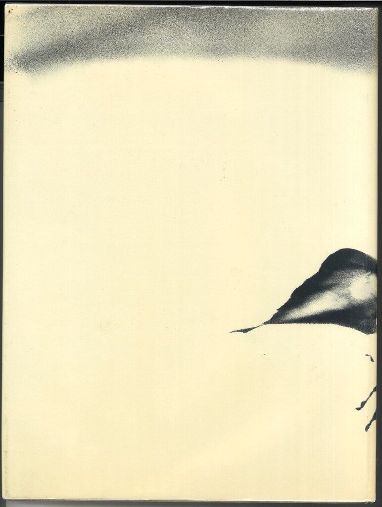 Sam Haskins NOVEMBER GIRL