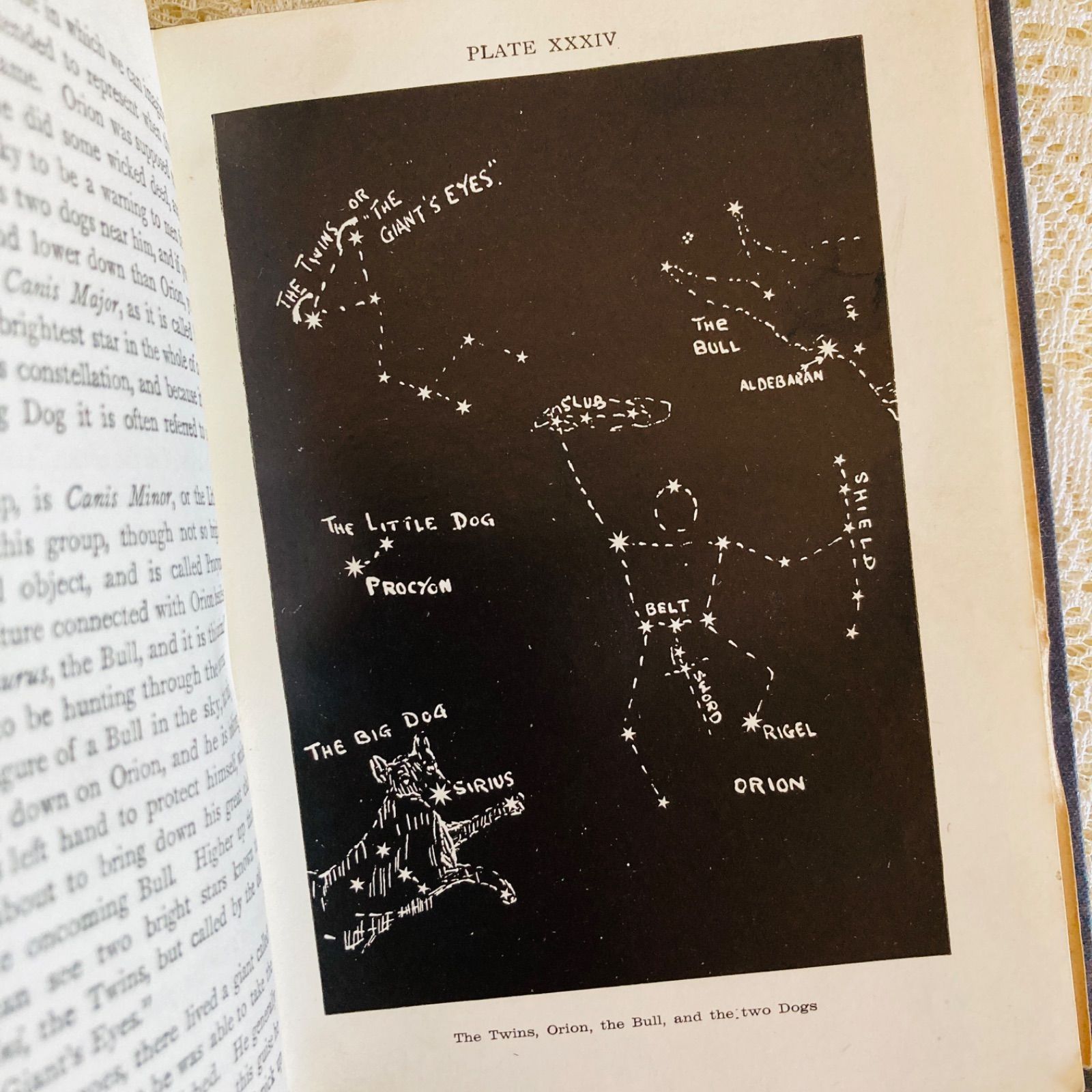 STARS イギリスのアンティーク星図鑑 天文学・惑星・星座 インテリア