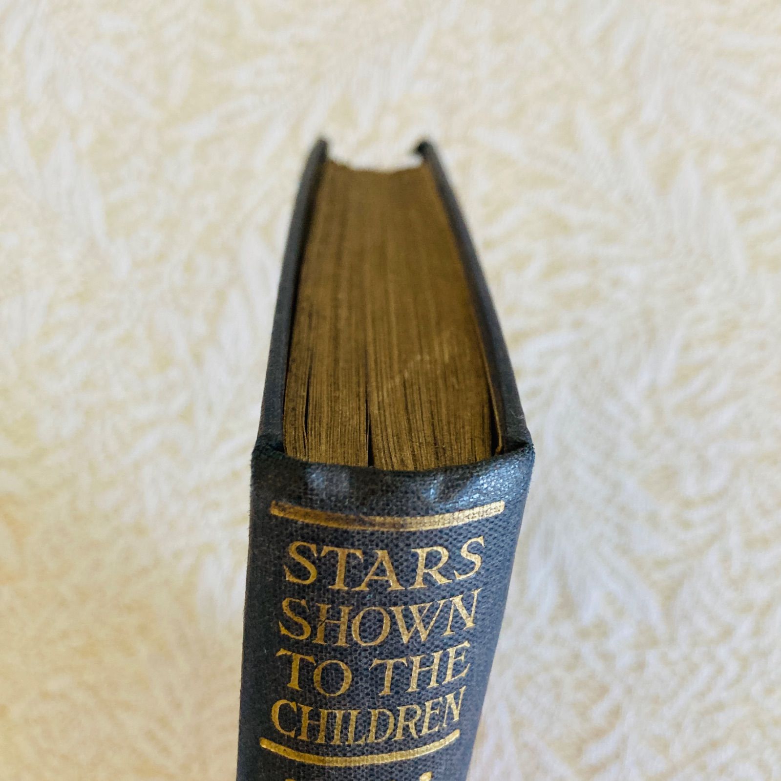 STARS イギリスのアンティーク星図鑑 天文学・惑星・星座 インテリア