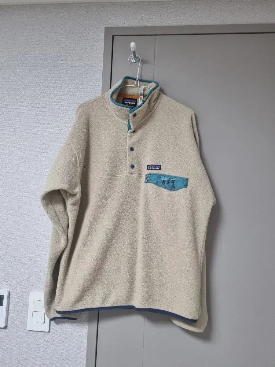 パタゴニア Synchilla メンズ M