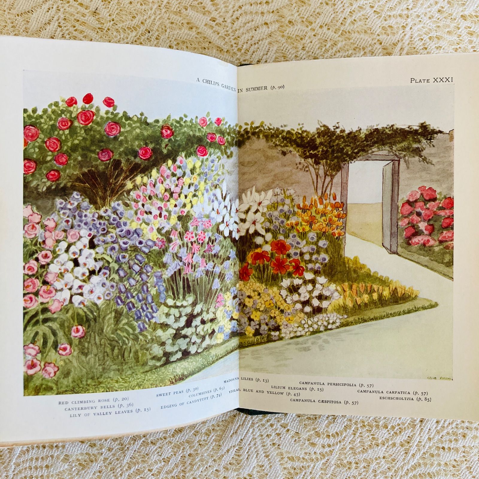 GARDENS イギリスのアンティーク植物図鑑 可憐で美しいカラー図版32点