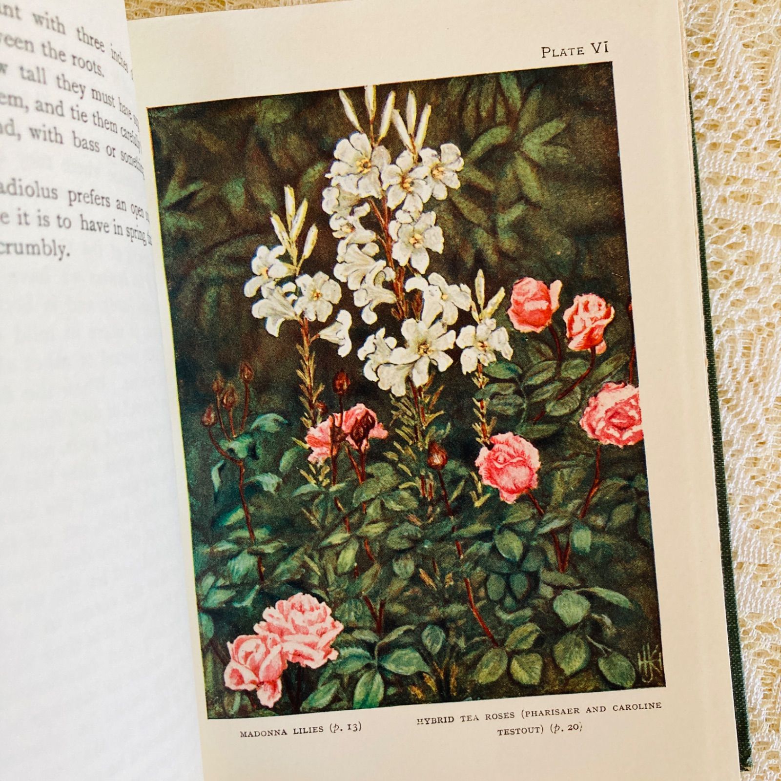 GARDENS イギリスのアンティーク植物図鑑 可憐で美しいカラー図版32点