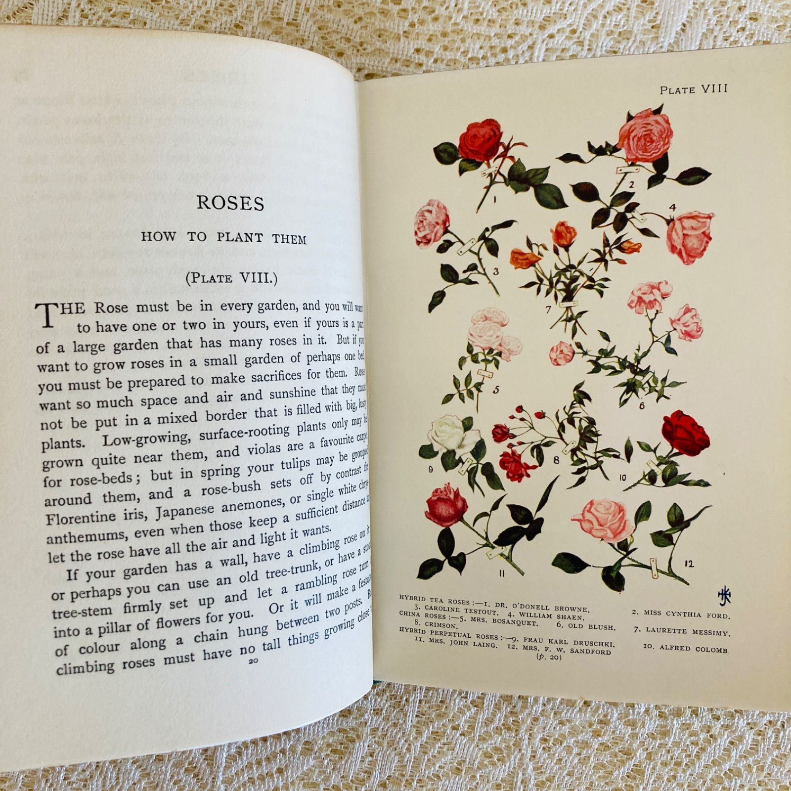 GARDENS イギリスのアンティーク植物図鑑 可憐で美しいカラー図版32点