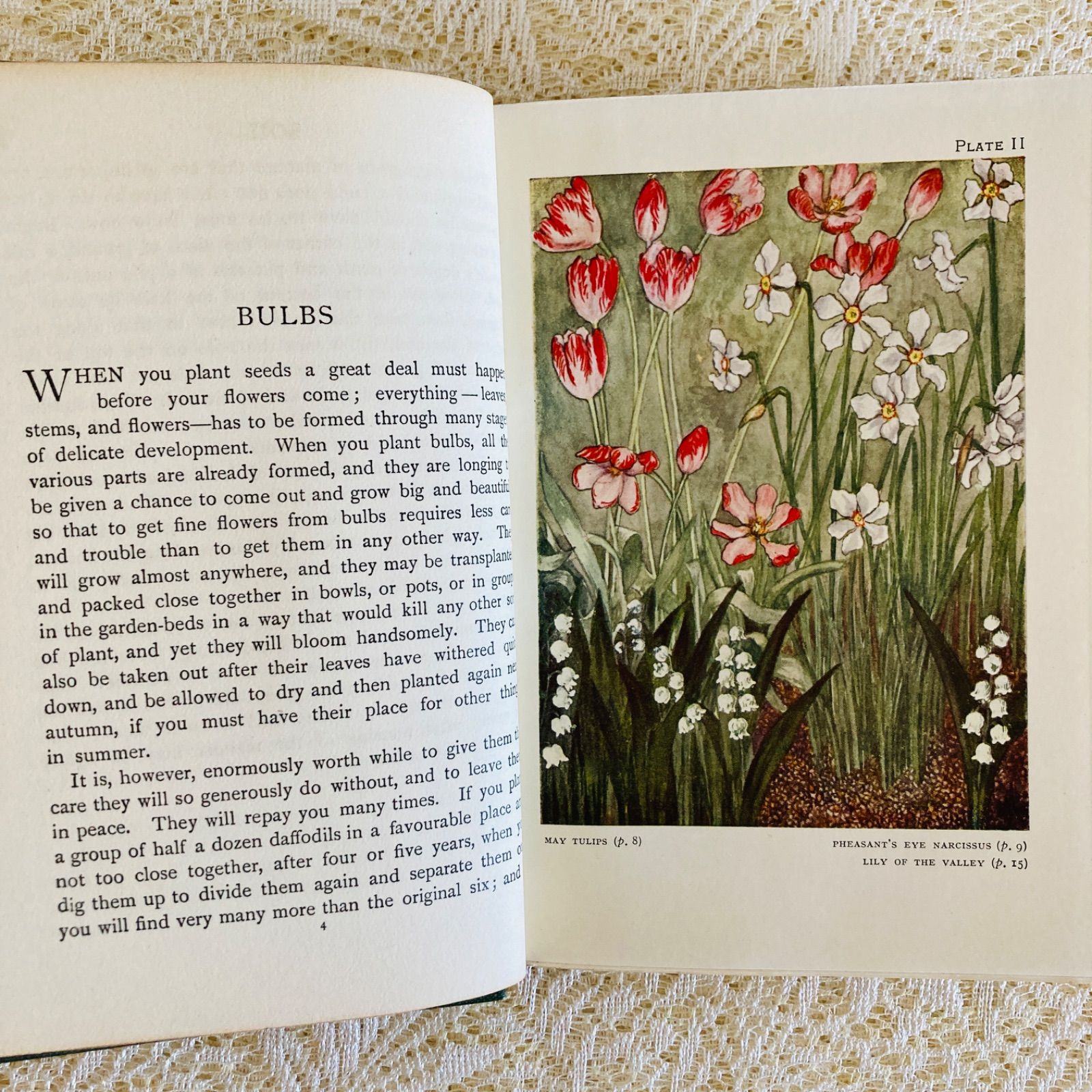 GARDENS イギリスのアンティーク植物図鑑 可憐で美しいカラー図版32点