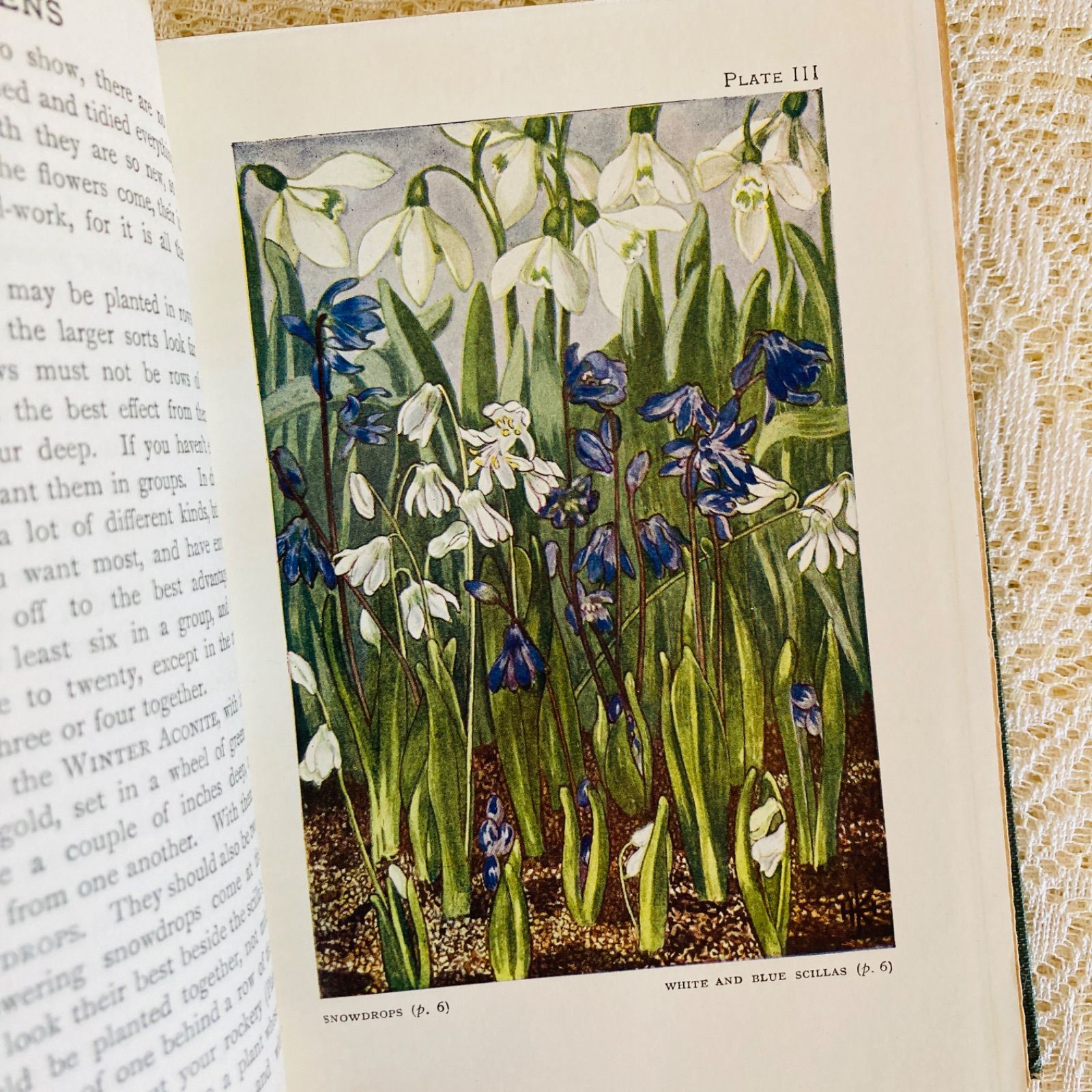 GARDENS イギリスのアンティーク植物図鑑 可憐で美しいカラー図版32点
