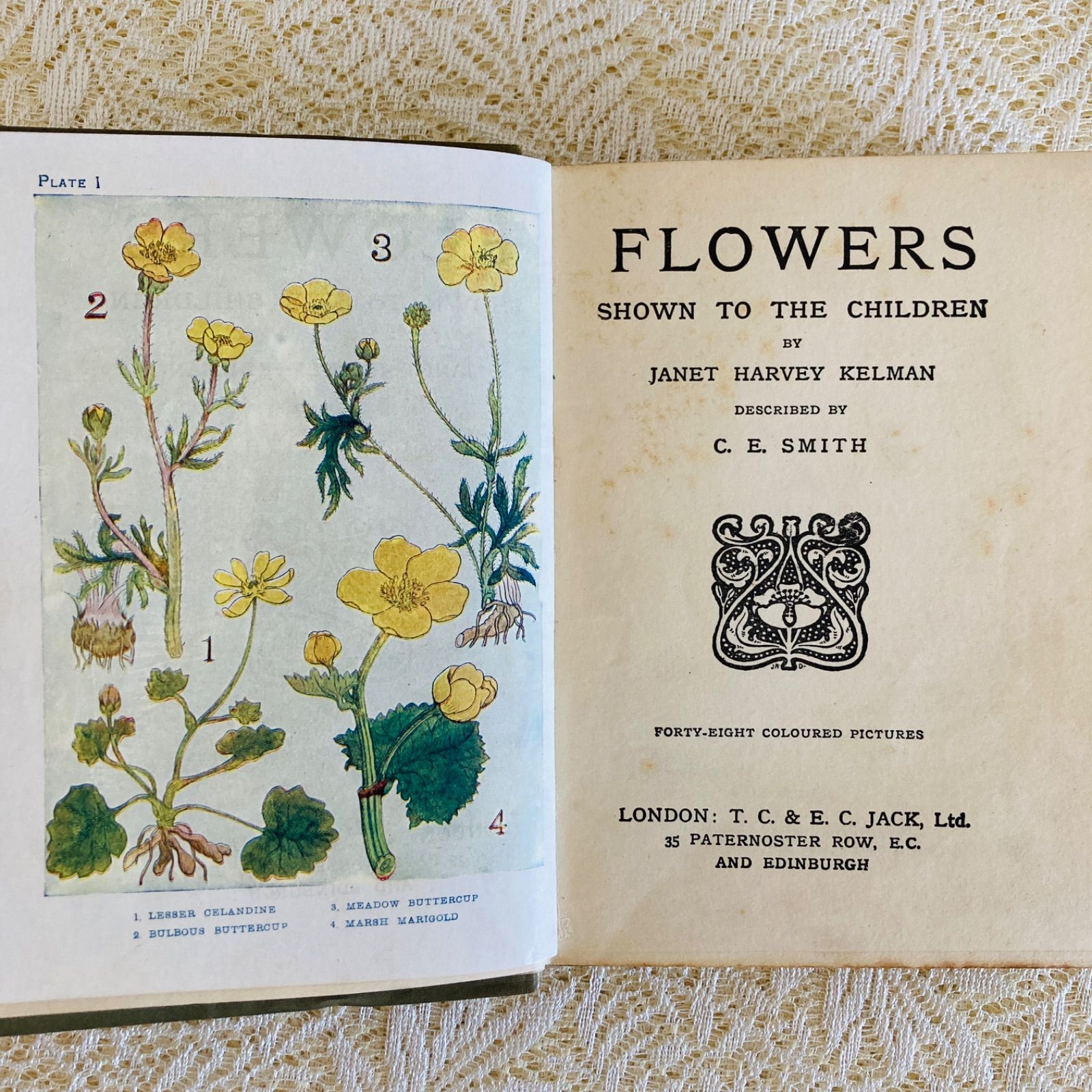 FLOWERS イギリスのアンティーク植物図鑑 美しいカラー図版48点収録