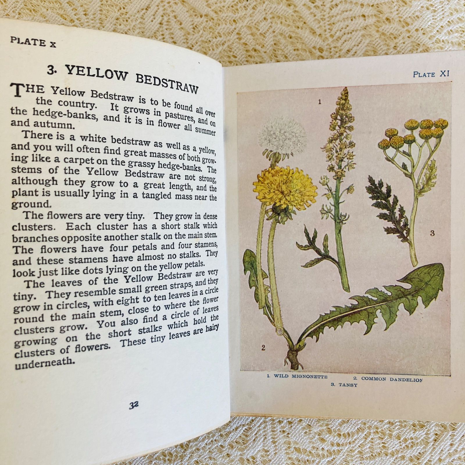 洋書　古書　希少　イギリスのアンティーク植物図鑑　色鮮やかで美しいカラー図版♡ FLOWERS イギリスのアンティーク植物図鑑 美しいカラー図版48点収録