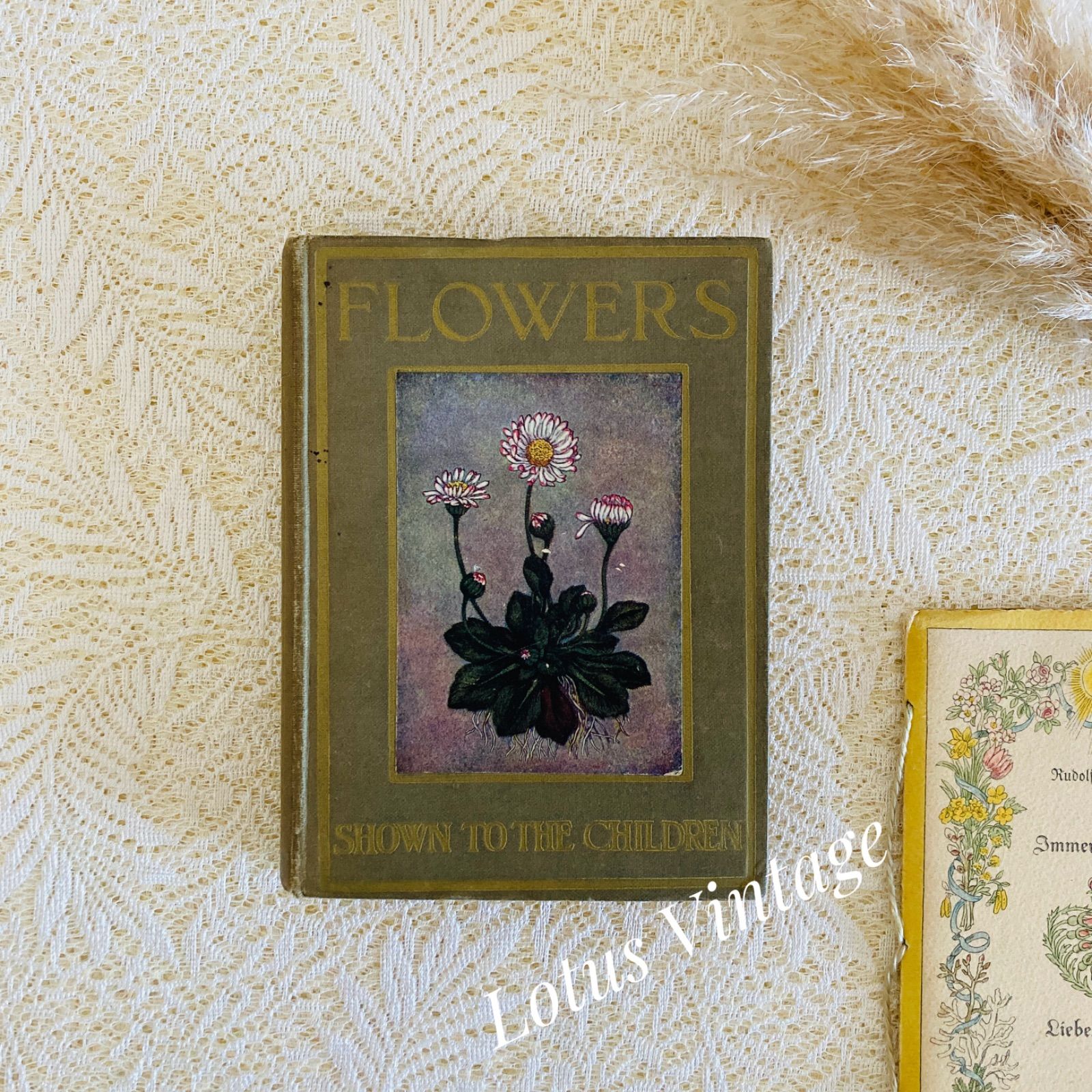 FLOWERS イギリスのアンティーク植物図鑑 美しいカラー図版48点収録