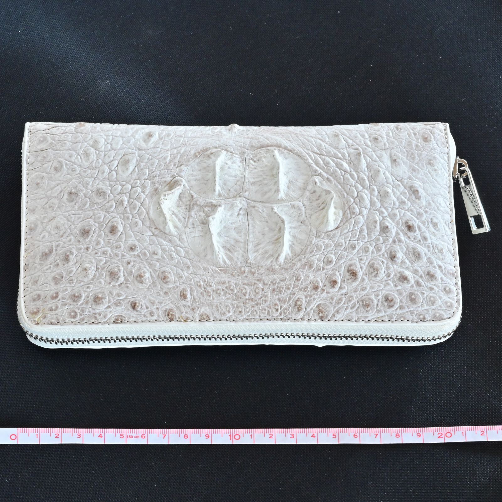 特別な存在感｜ヒマラヤクロコ