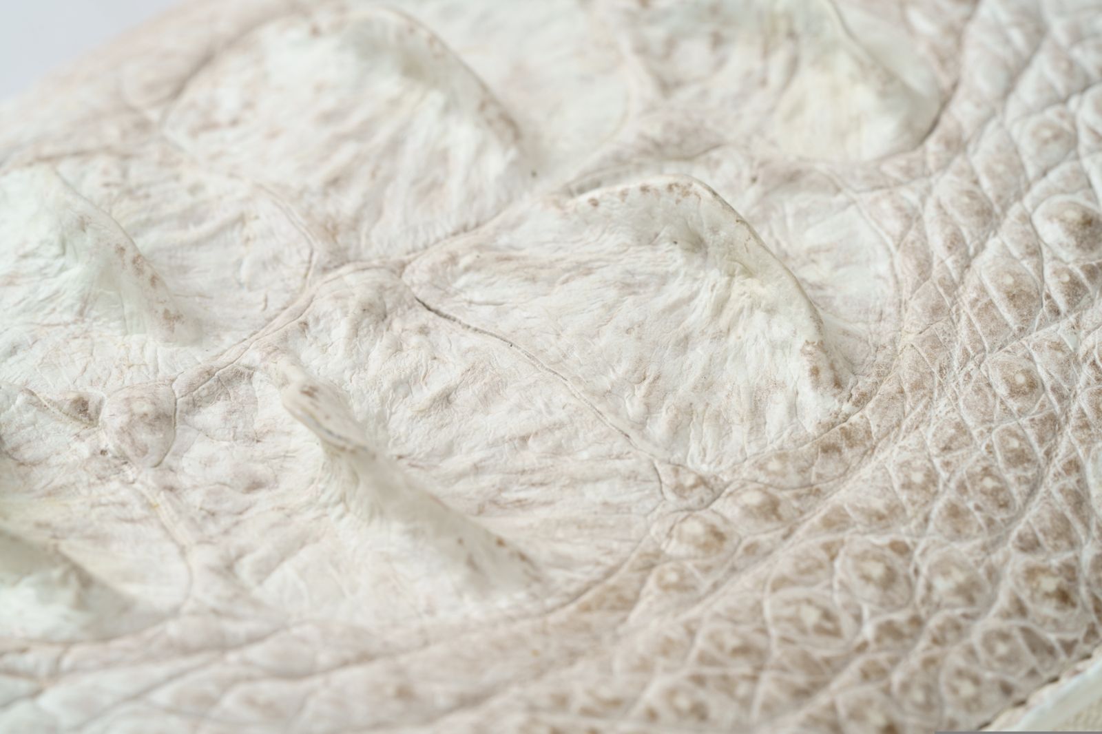 クラウン一枚革ラウンド長財布