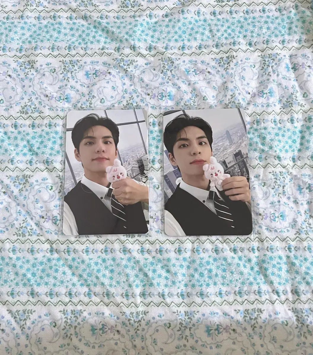 DAY 6 デイシックス ウォンピル WONPIL トレカ まとめ