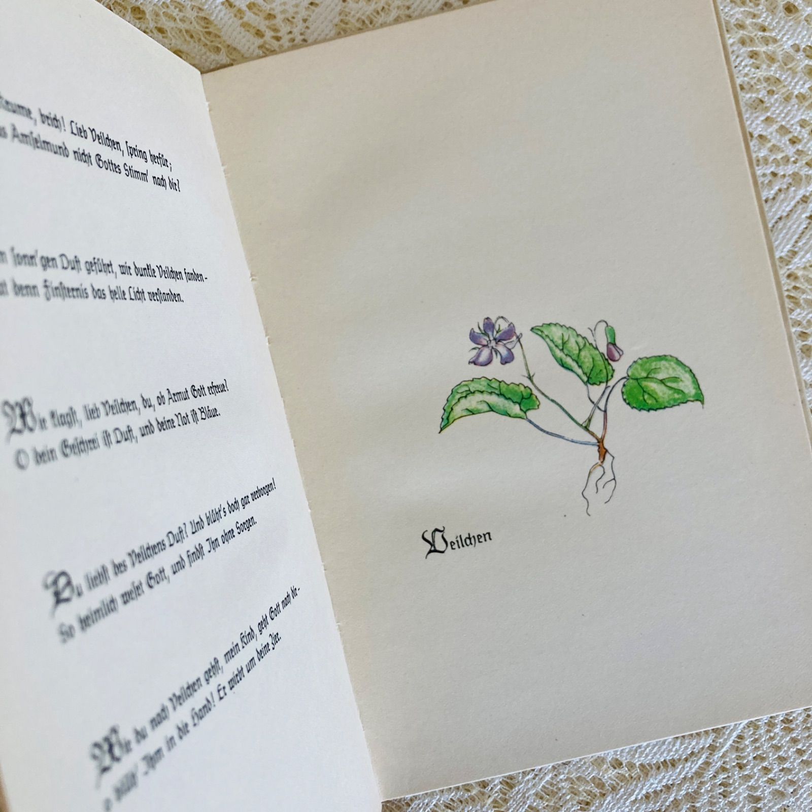 洋書　古書　ドイツのヴィンテージブック　繊細で愛らしい植物画と美しい書体♡ ドイツのヴィンテージブック 繊細で愛らしい植物画と美しい書体
