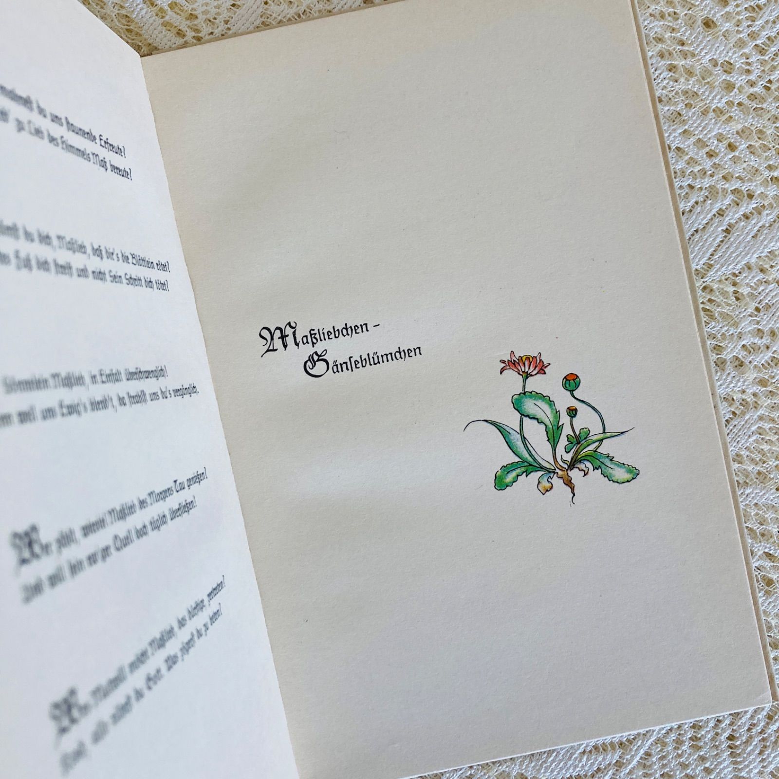 ドイツのヴィンテージブック 繊細で愛らしい植物画と美しい書体