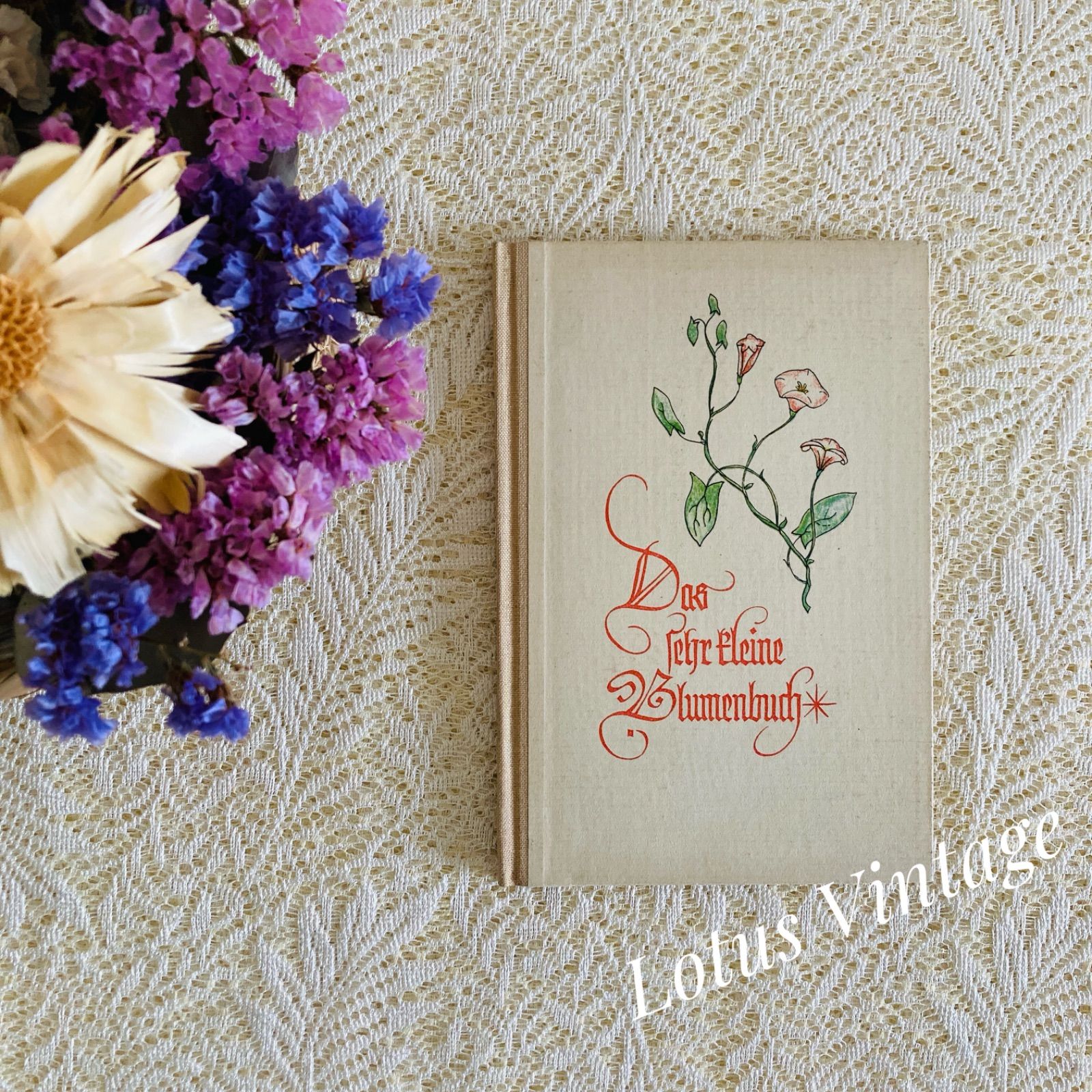 ドイツのヴィンテージブック 繊細で愛らしい植物画と美しい書体