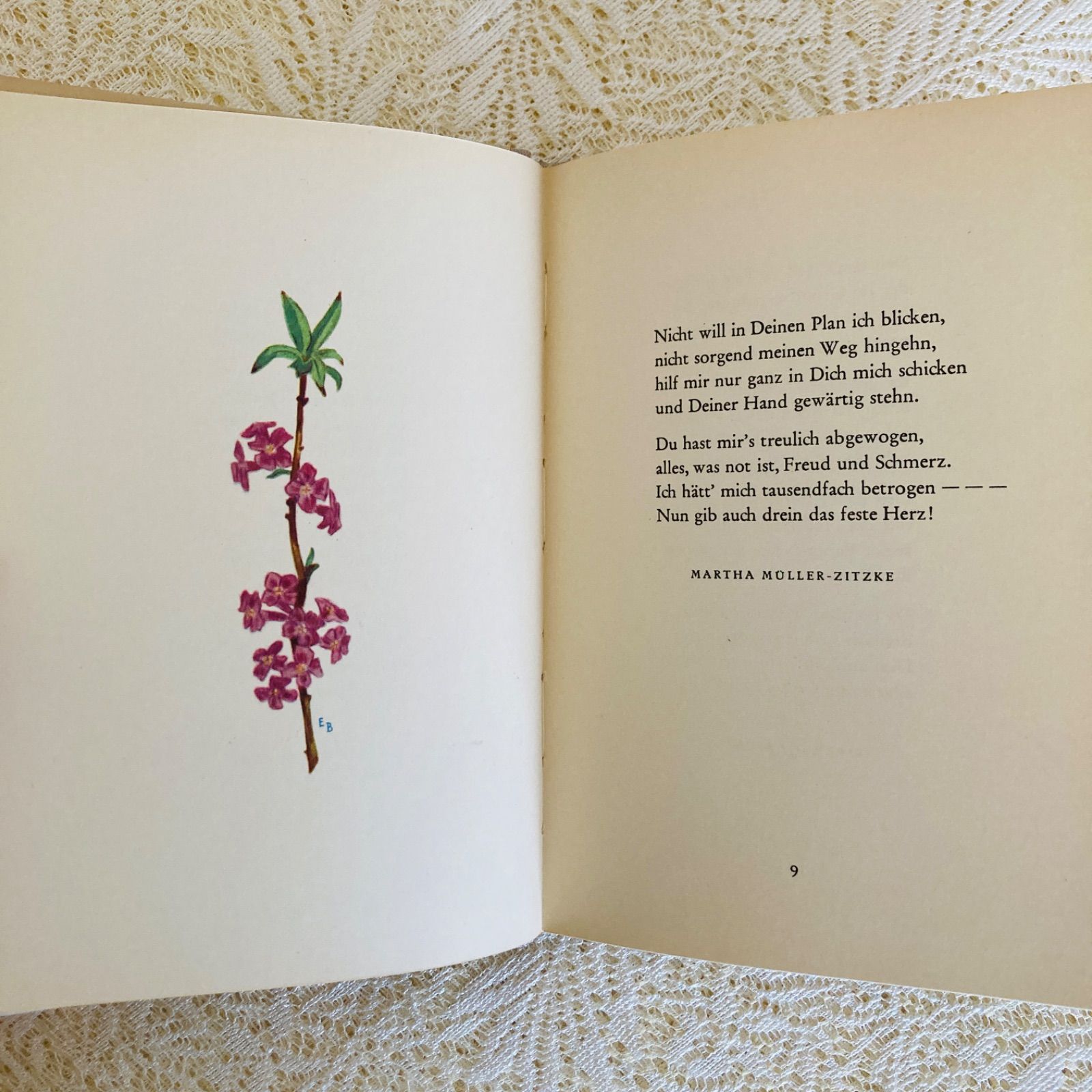 愛らしさいっぱいのアンティーク絵本❀洋書　挿画 アート　ビンテージ　古書　植物画 ドイツのヴィンテージブック 淡くやさしい色彩の植物画収録 インテリア