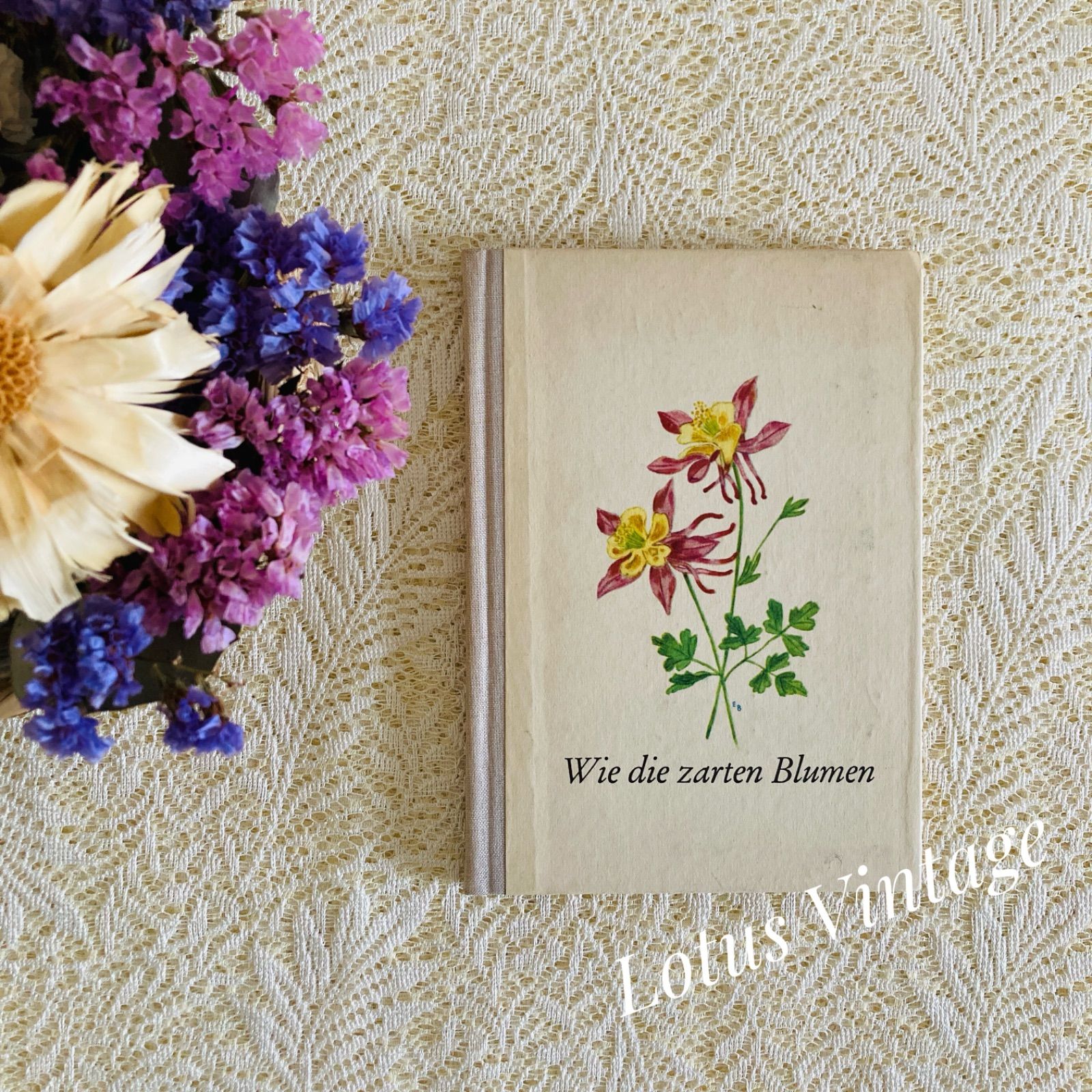 愛らしさいっぱいのアンティーク絵本❀洋書　挿画 アート　ビンテージ　古書　植物画 ドイツのヴィンテージブック 淡くやさしい色彩の植物画収録 インテリア