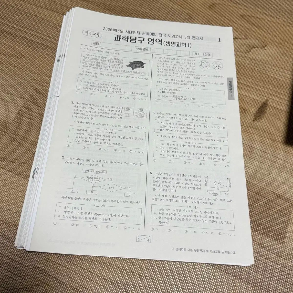 2026，安い 2026 時代人材 生命 生命科学1 19セット 全国 サバイバル ブリッジ その他