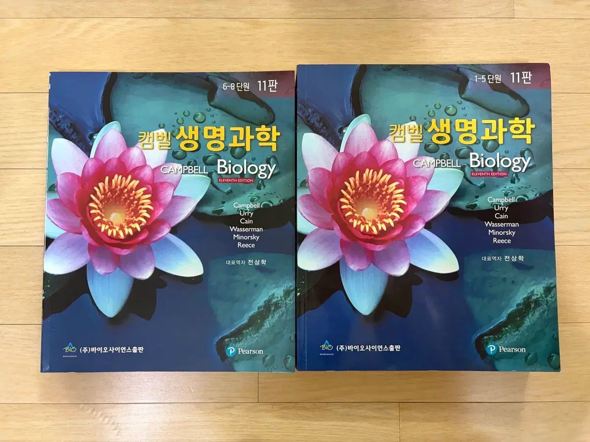 キャンベル生物学 原書11版 丸善出版 CAMPBELL BIOLOGY キャンベル生物
