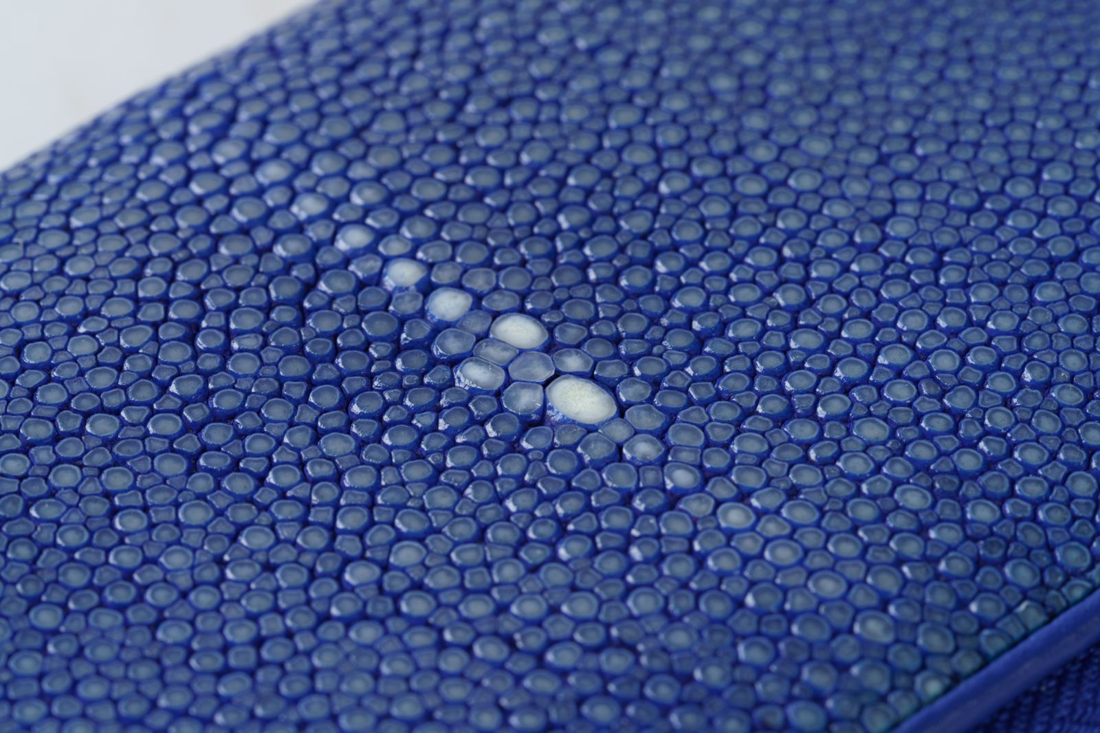 海の宝石が導く幸運と品格｜ブルーに輝くスティングレイ ラウンドファスナー長財布