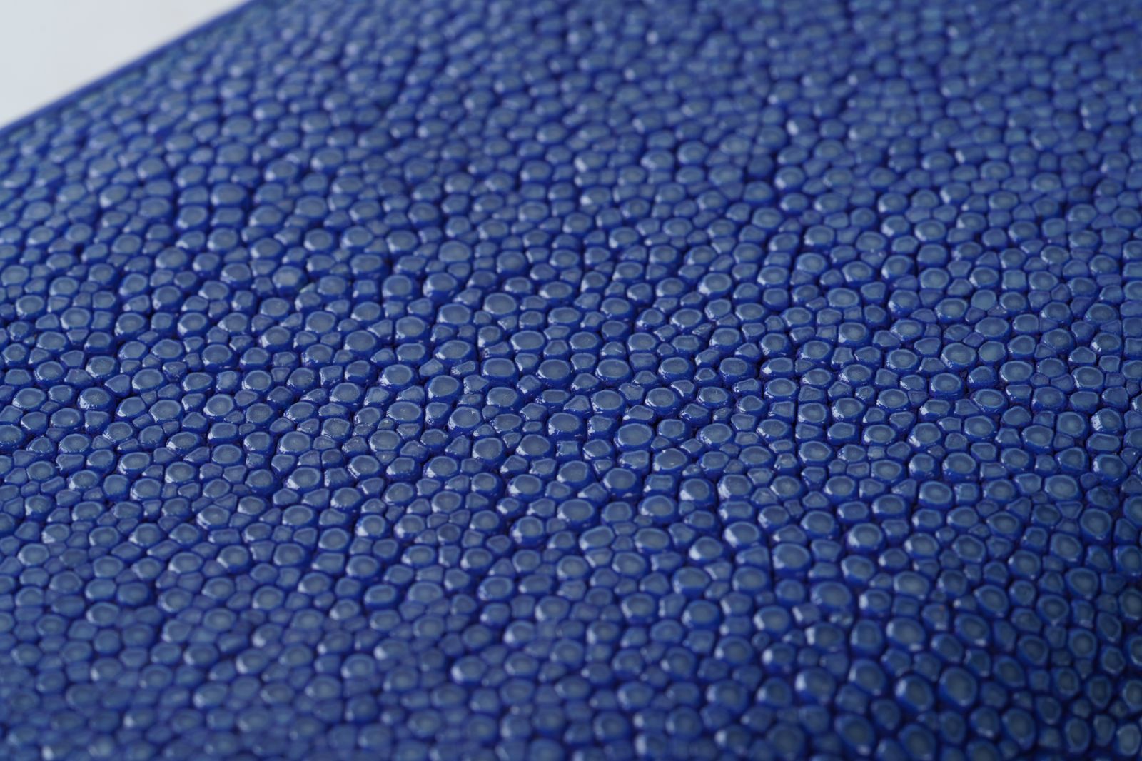 海の宝石が導く幸運と品格｜ブルーに輝くスティングレイ ラウンドファスナー長財布