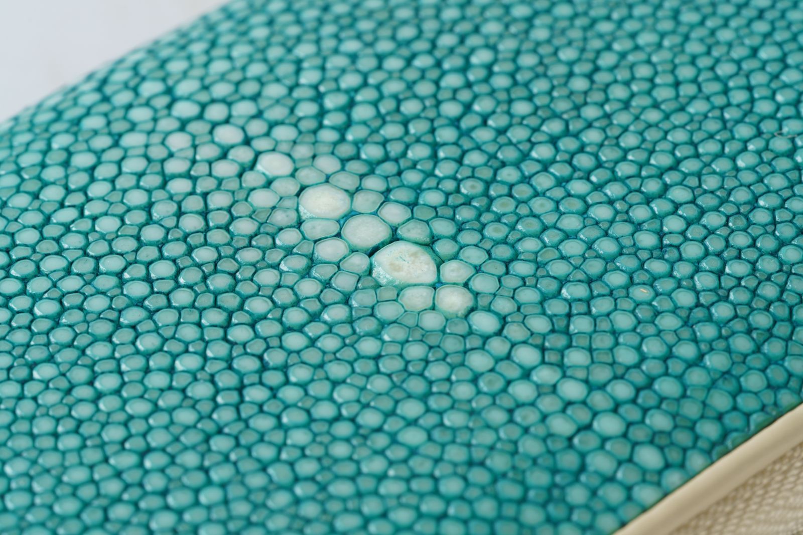 スティングレイ