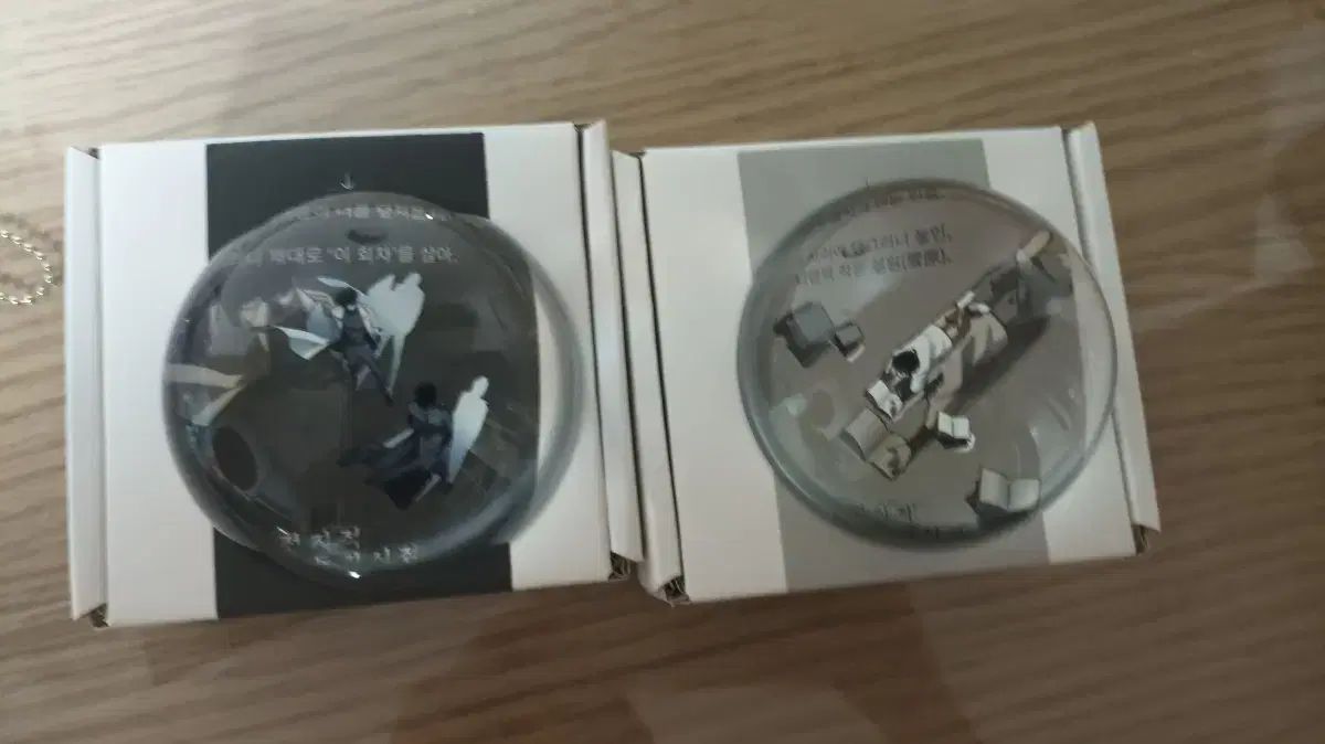 全知的な読者の視点から ムーンジーン 2種