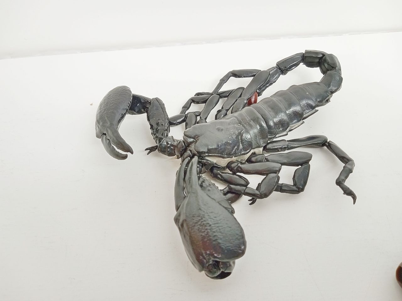 いきもの大図鑑 あり サソリ 5点セット まとめ売り 本体のみ【アリ